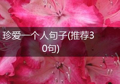 珍爱一个人句子(推荐30句)