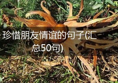 珍惜朋友情谊的句子(汇总50句)