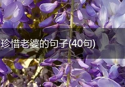 珍惜老婆的句子(40句)