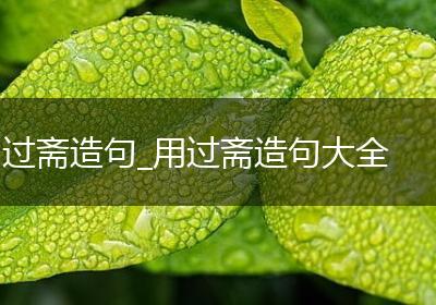 过斋造句_用过斋造句大全