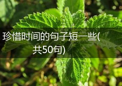 珍惜时间的句子短一些(共50句)