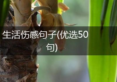 生活伤感句子(优选50句)