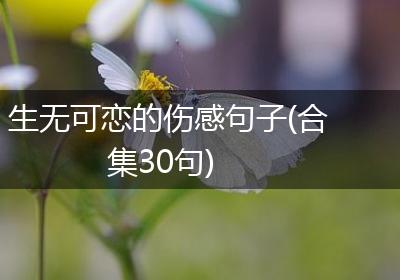 生无可恋的伤感句子(合集30句)