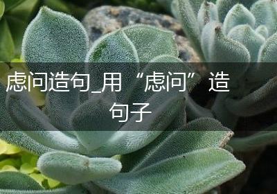 虑问造句_用“虑问”造句子