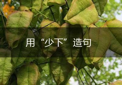 用“少下”造句