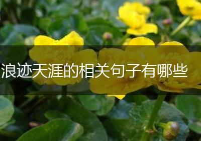 浪迹天涯的相关句子有哪些