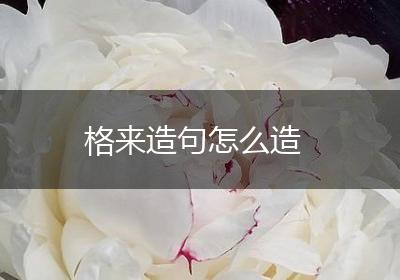 格来造句怎么造