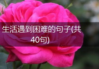 生活遇到困难的句子(共40句)