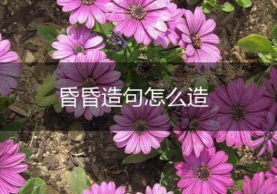 昏昏造句怎么造