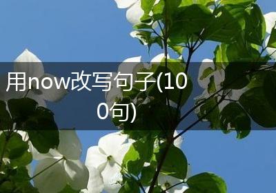 用now改写句子(100句)