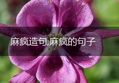 麻疯造句,麻疯的句子
