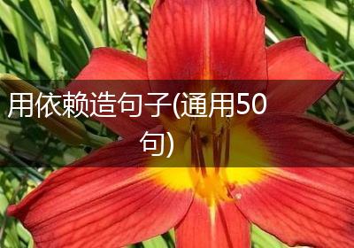 用依赖造句子(通用50句)