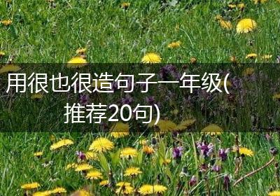 用很也很造句子一年级(推荐20句)