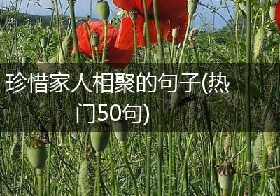 珍惜家人相聚的句子(热门50句)