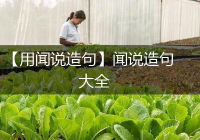 【用闻说造句】闻说造句大全