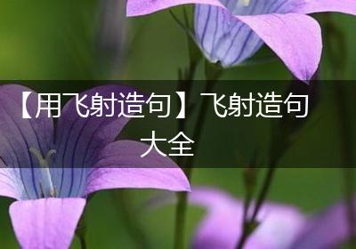 【用飞射造句】飞射造句大全
