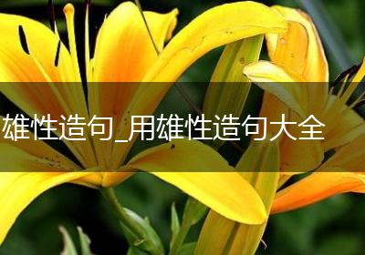 雄性造句_用雄性造句大全
