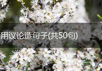 用议论造句子(共50句)