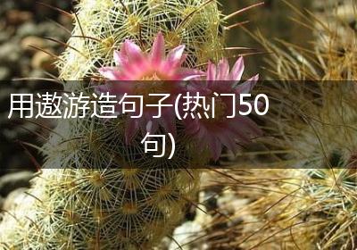 用遨游造句子(热门50句)