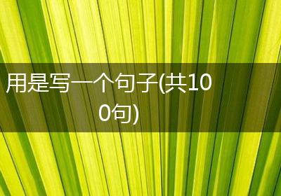用是写一个句子(共100句)