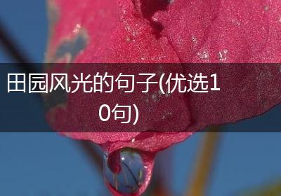 田园风光的句子(优选10句)