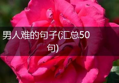 男人难的句子(汇总50句)