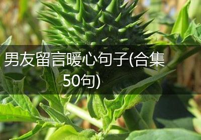男友留言暖心句子(合集50句)