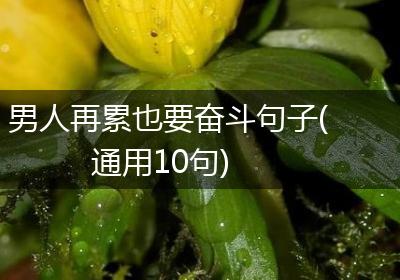 男人再累也要奋斗句子(通用10句)