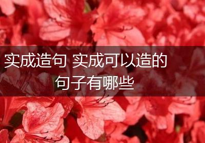 实成造句 实成可以造的句子有哪些