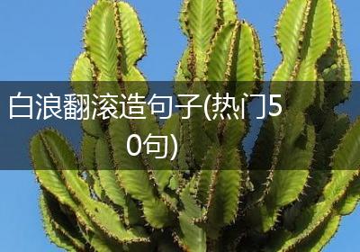 白浪翻滚造句子(热门50句)