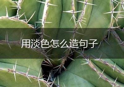 用淡色怎么造句子