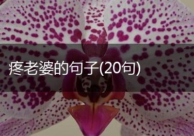 疼老婆的句子(20句)