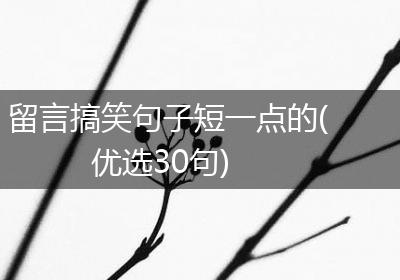 留言搞笑句子短一点的(优选30句)