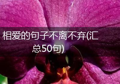 相爱的句子不离不弃(汇总50句)
