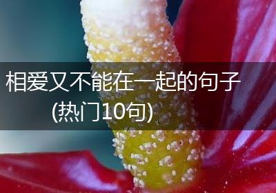 相爱又不能在一起的句子(热门10句)
