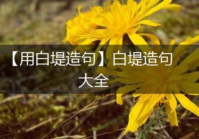 【用白堤造句】白堤造句大全