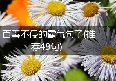 百毒不侵的霸气句子(推荐49句)