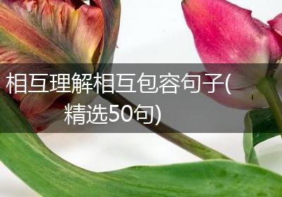 相互理解相互包容句子(精选50句)