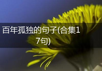 百年孤独的句子(合集17句)