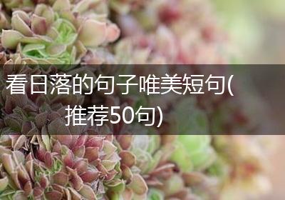 看日落的句子唯美短句(推荐50句)
