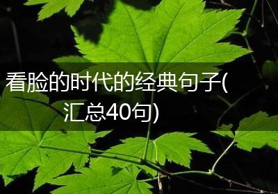 看脸的时代的经典句子(汇总40句)