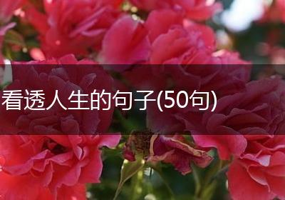 看透人生的句子(50句)