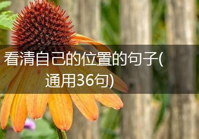 看清自己的位置的句子(通用36句)