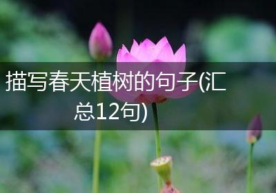 描写春天植树的句子(汇总12句)
