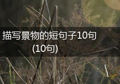 描写景物的短句子10句(10句)