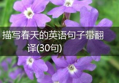 描写春天的英语句子带翻译(30句)