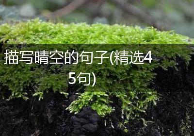 描写晴空的句子(精选45句)