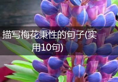 描写梅花秉性的句子(实用10句)