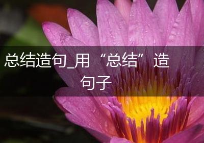 总结造句_用“总结”造句子
