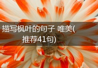 描写枫叶的句子 唯美(推荐41句)